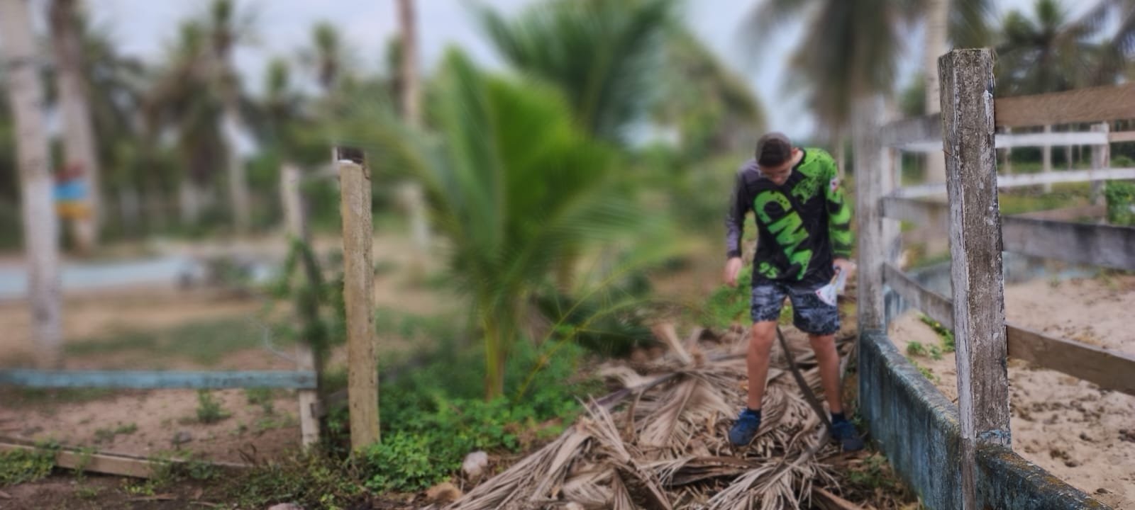 TRABALHOS DE CAMPO - CURSOS - TREINAMENTOS