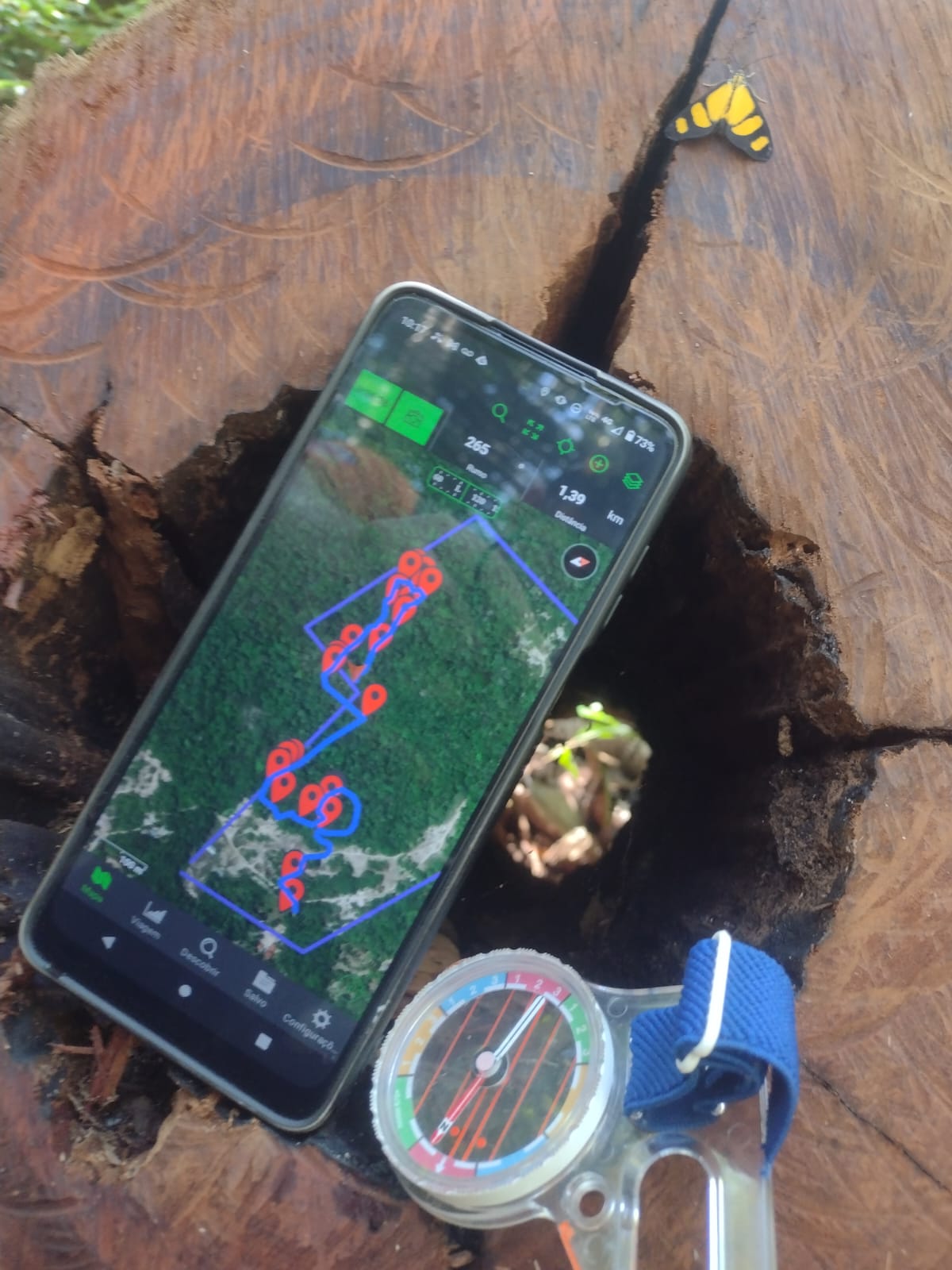 TRABALHOS DE CAMPO - CURSOS - TREINAMENTOS