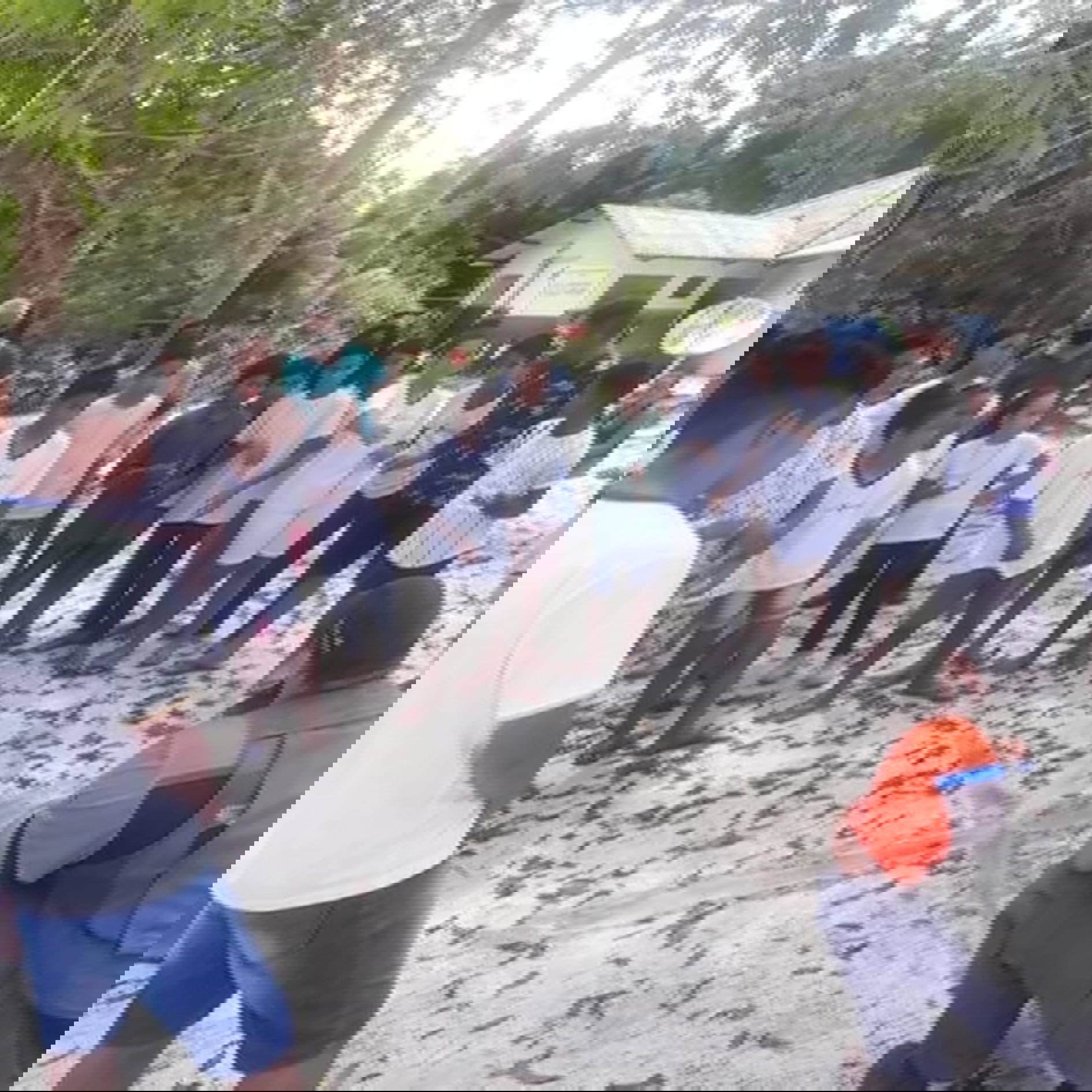 TRABALHOS DE CAMPO - CURSOS - TREINAMENTOS