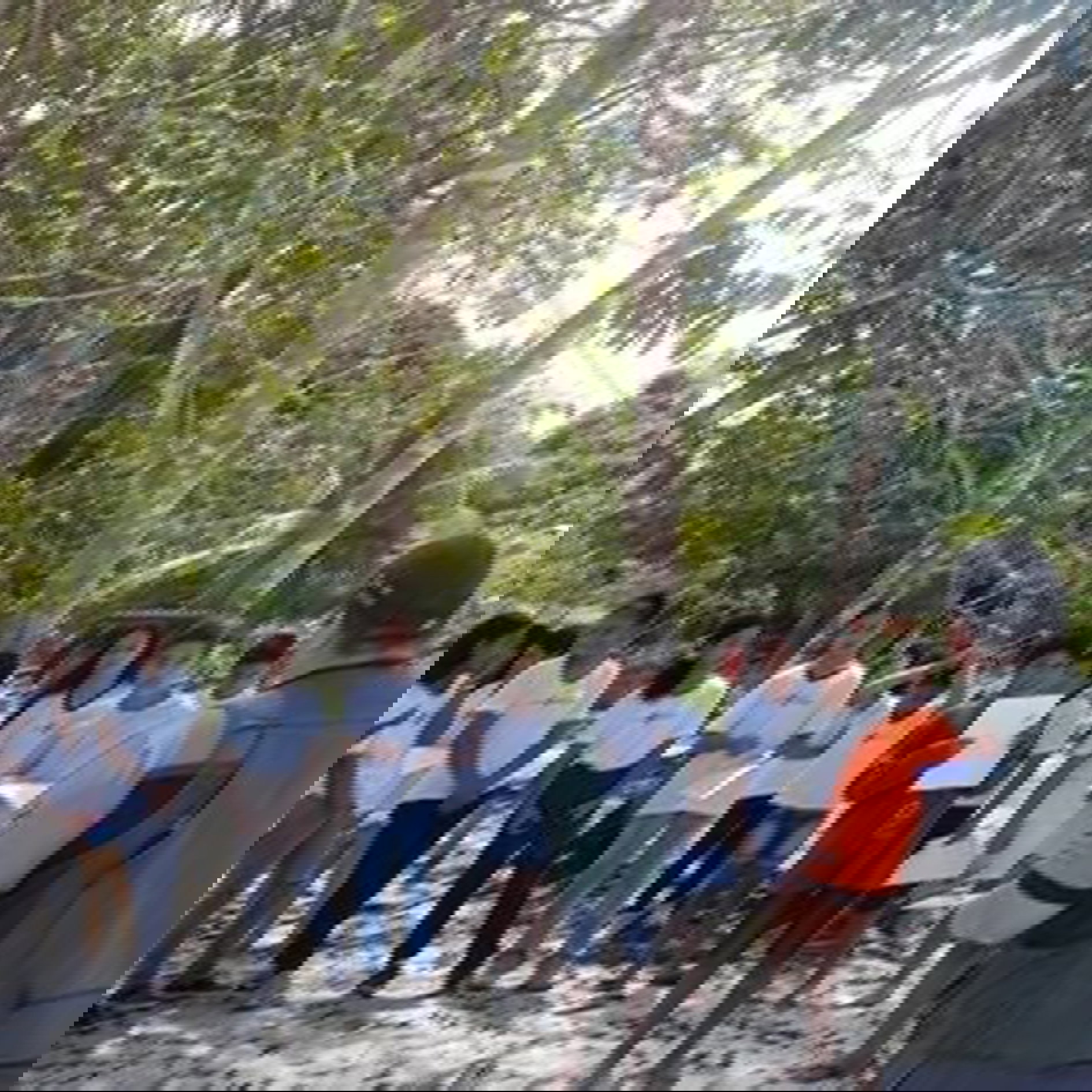 TRABALHOS DE CAMPO - CURSOS - TREINAMENTOS