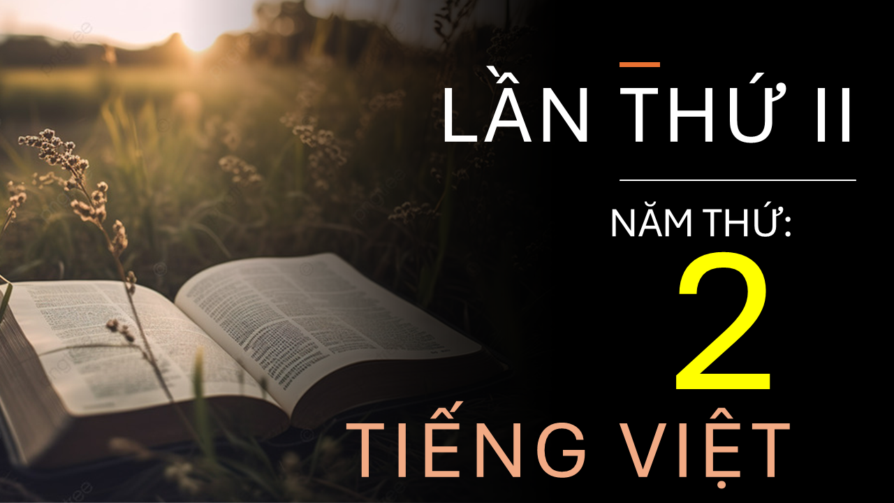 Chương Trình Đọc Kinh Thánh 3 Năm (Lần II Năm Thứ 2) - Tiếng Việt