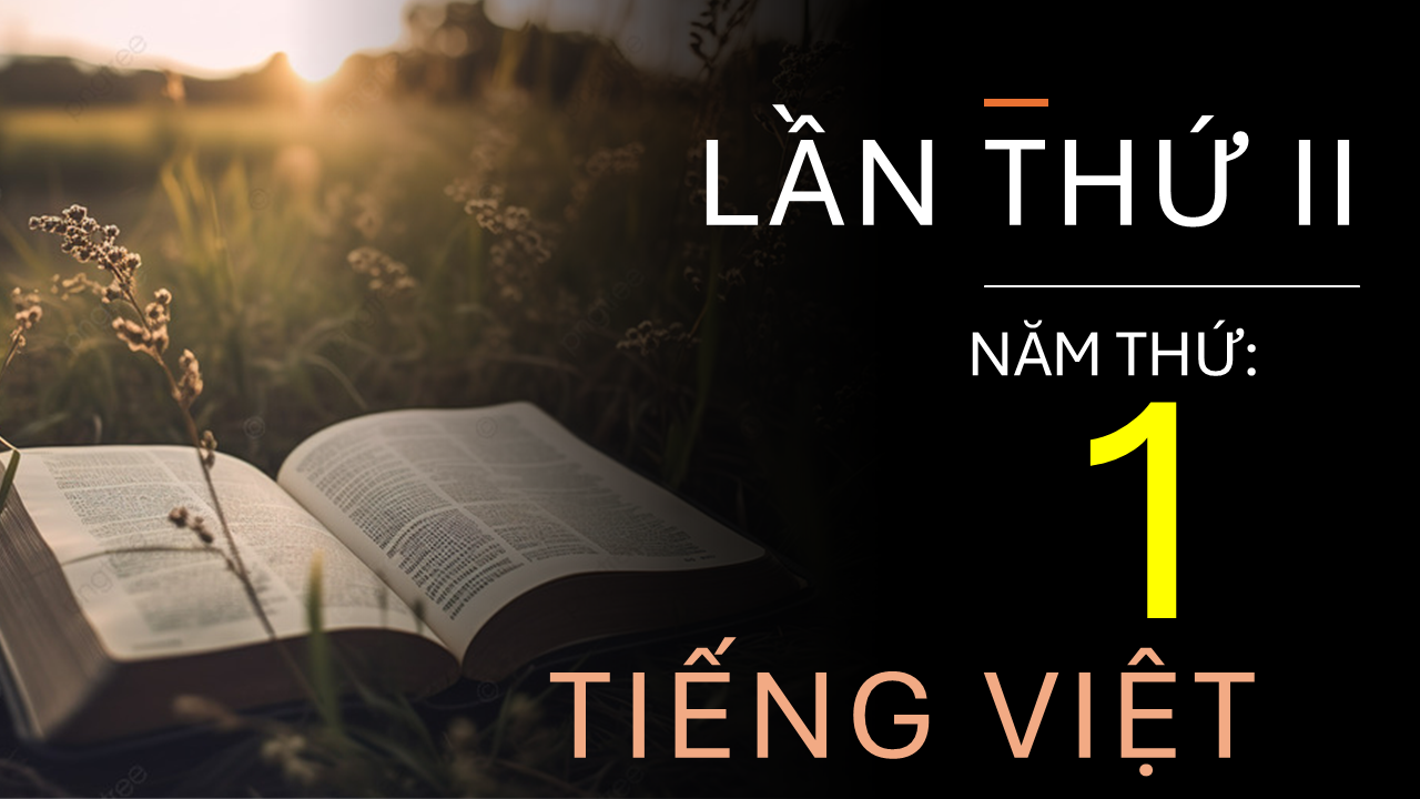 Chương Trình Đọc Kinh Thánh 3 Năm (Lần II Năm Thứ 1) - Tiếng Việt