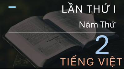 Chương Trình Đọc Kinh Thánh 3 Năm (Lần I Năm Thứ 2) - Tiếng Việt