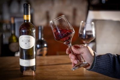 סדנת יין בסיסית