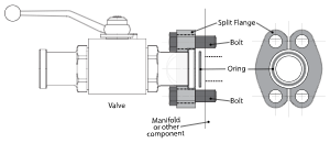 Tri-clamp sanitary Valve Connection