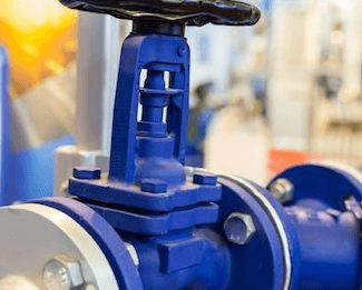 Globe valve