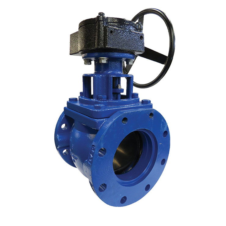 FCT Eccentric Plug Valve