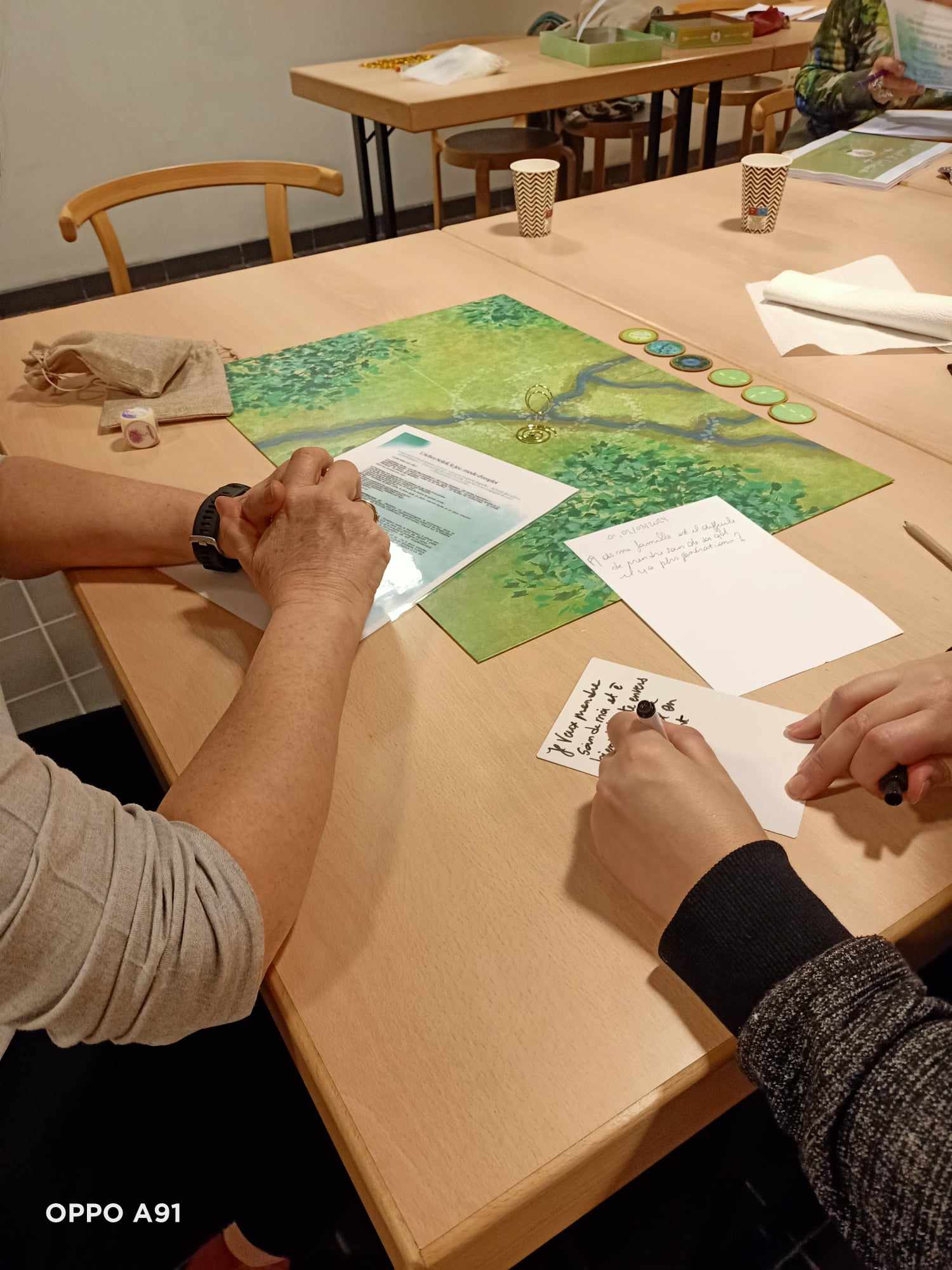 Utiliser l'arbre Soleil, le jeu dans ma pratique professionnelle