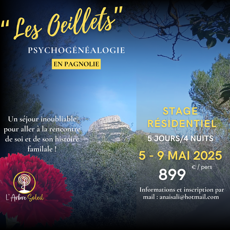 Stage résidentiel thérapeutique : Psychogénéalogie en Pagnolie  (les oeillets)