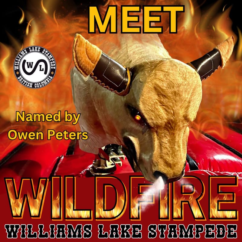 2024-2025 season social media posters