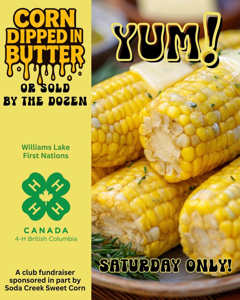 Social media posters