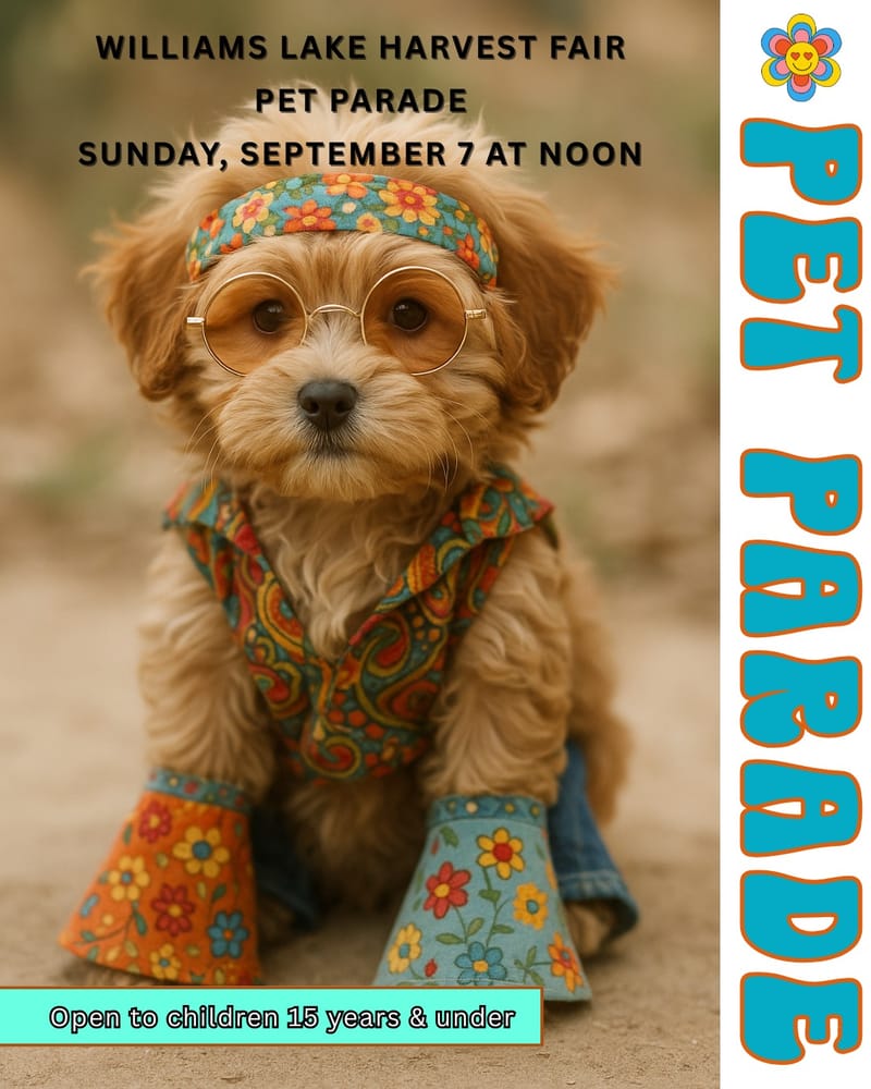 Social media posters