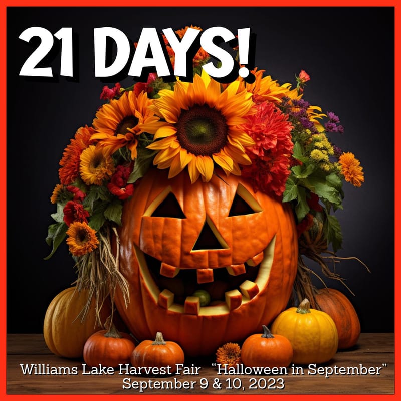 Social media posters