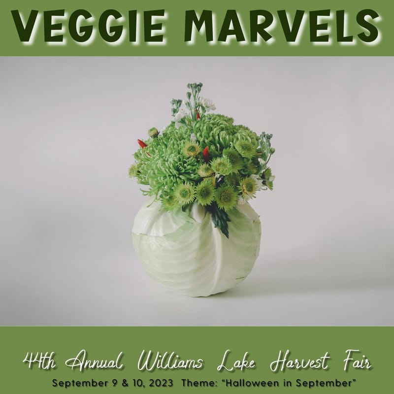 Social media posters