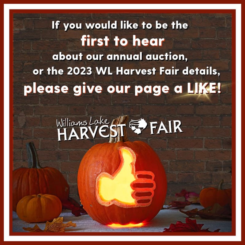 Social media posters