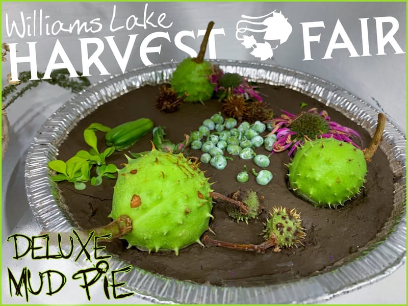 Social media posters