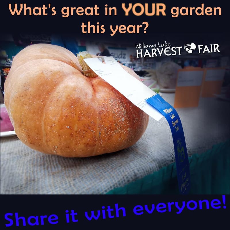 Social media posters