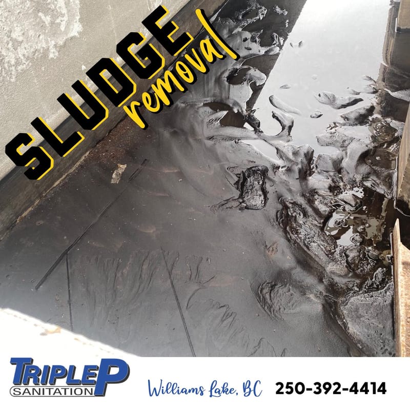 Social media images I created for Triple P Sanitation