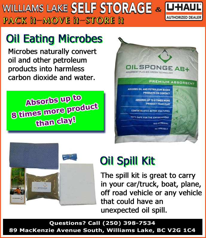 Social media marketing & management | Williams Lake, BC