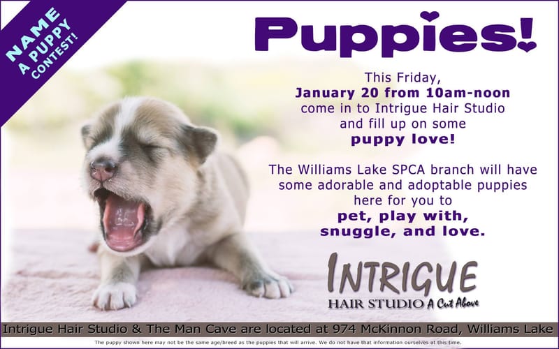 Social media content management and marketing