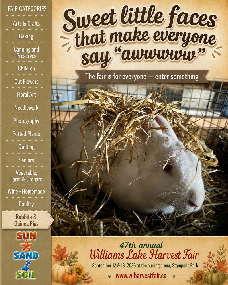 Social media posters