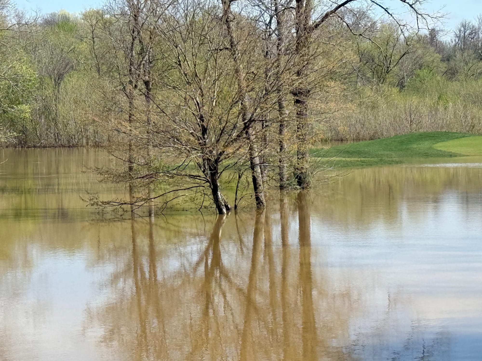 #3 - Looking toward gold tee box
