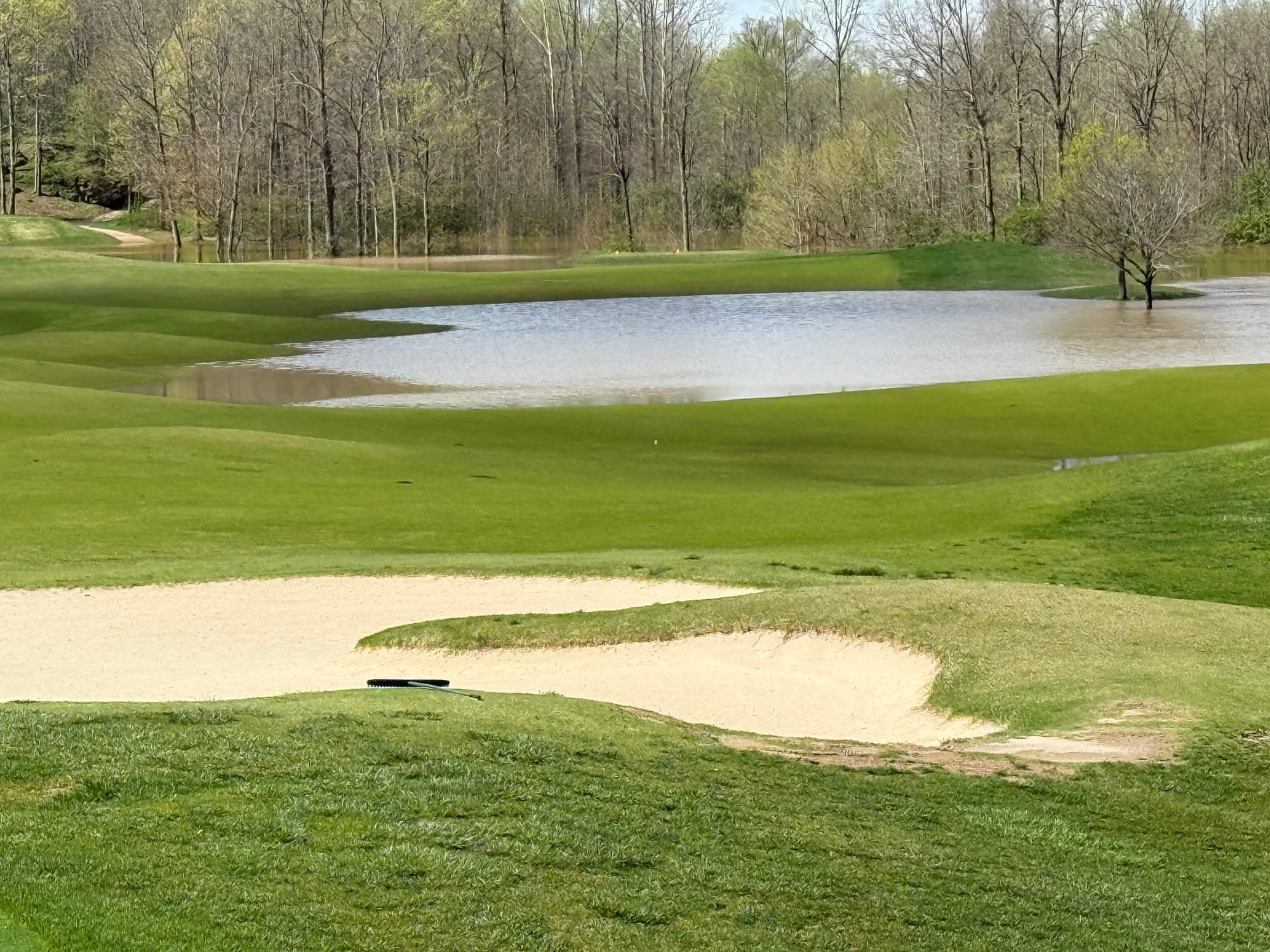 #3 Green looking back toward tee box