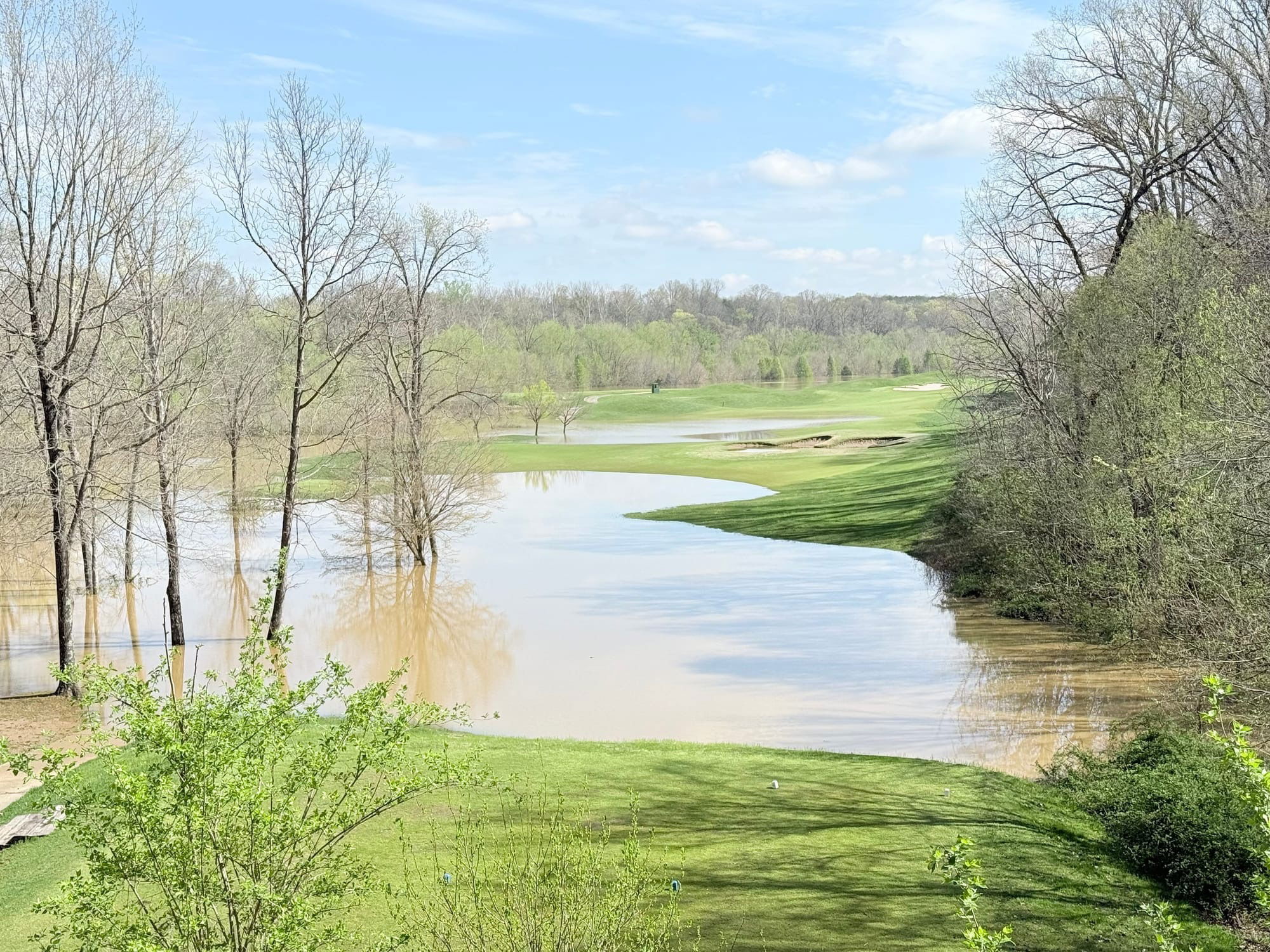 #3 From Old Black Tee Box