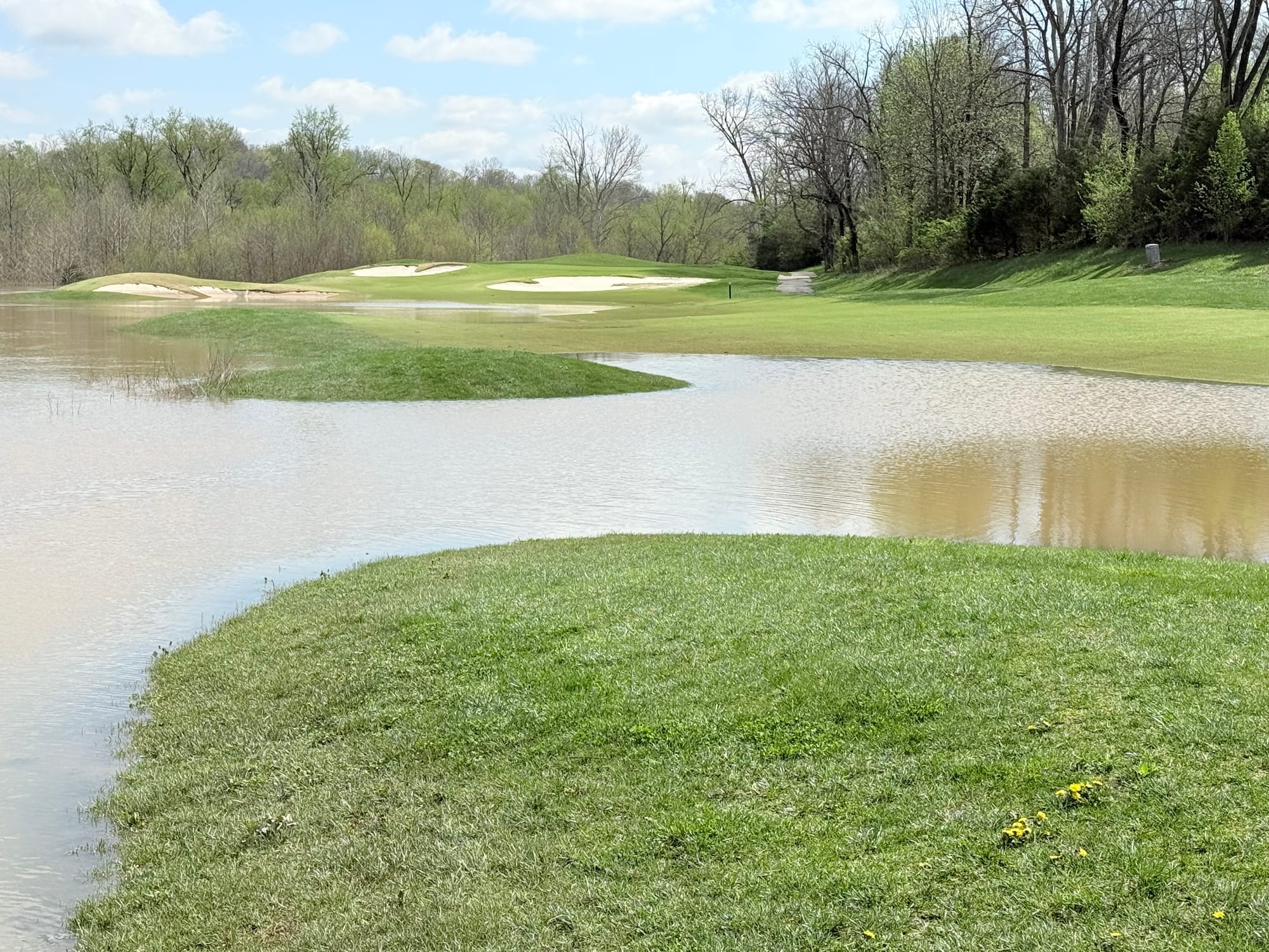 #4 Middle Fairway