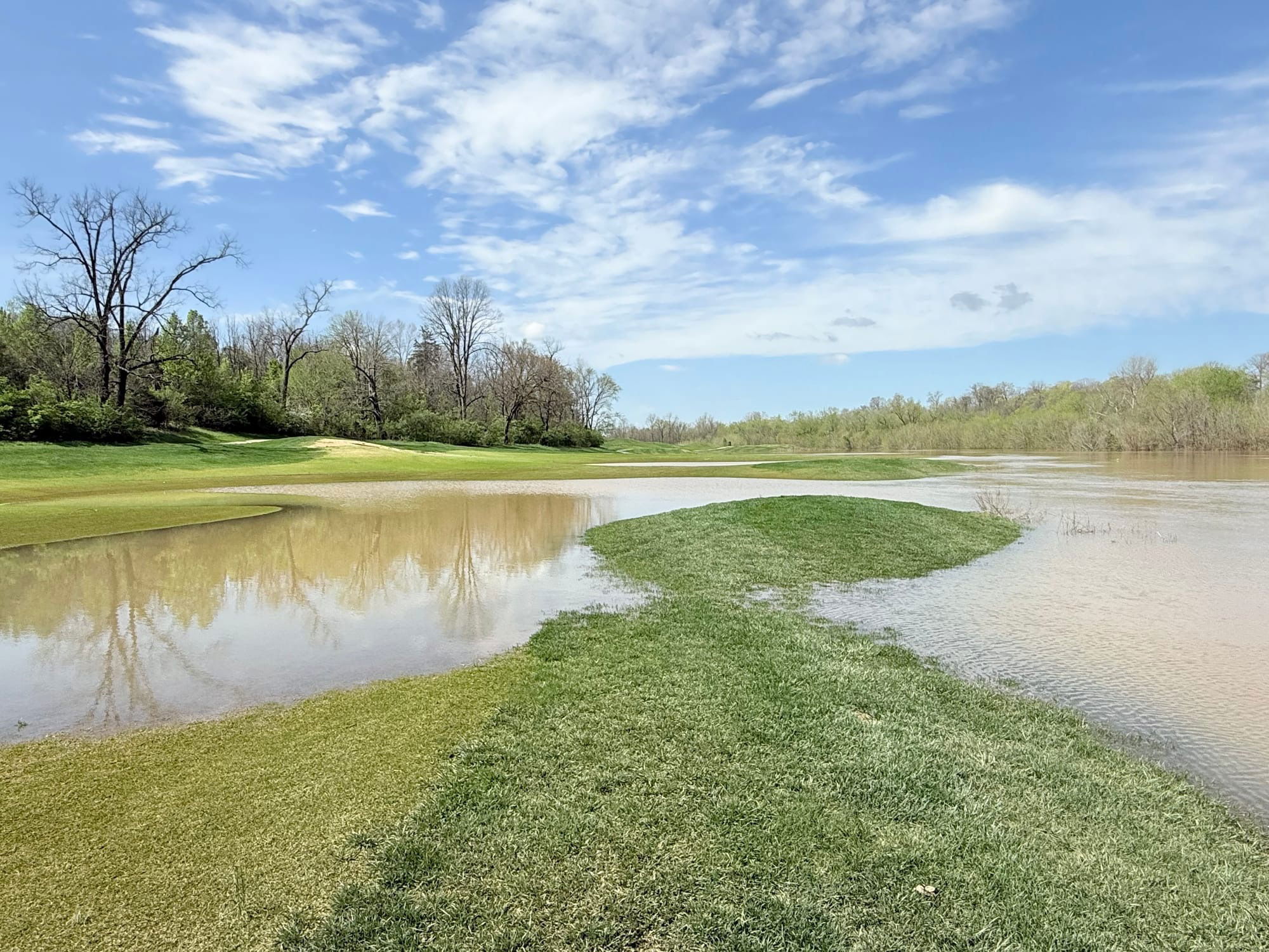 #4 100ish out, looking back toward tee box