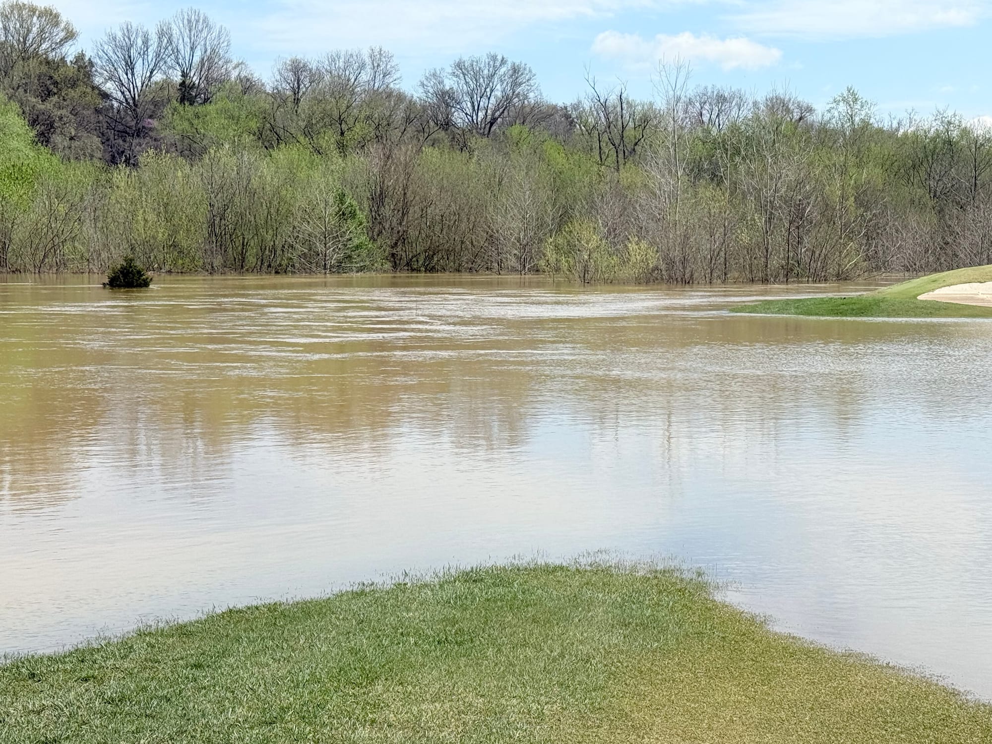 #4 looking left of green