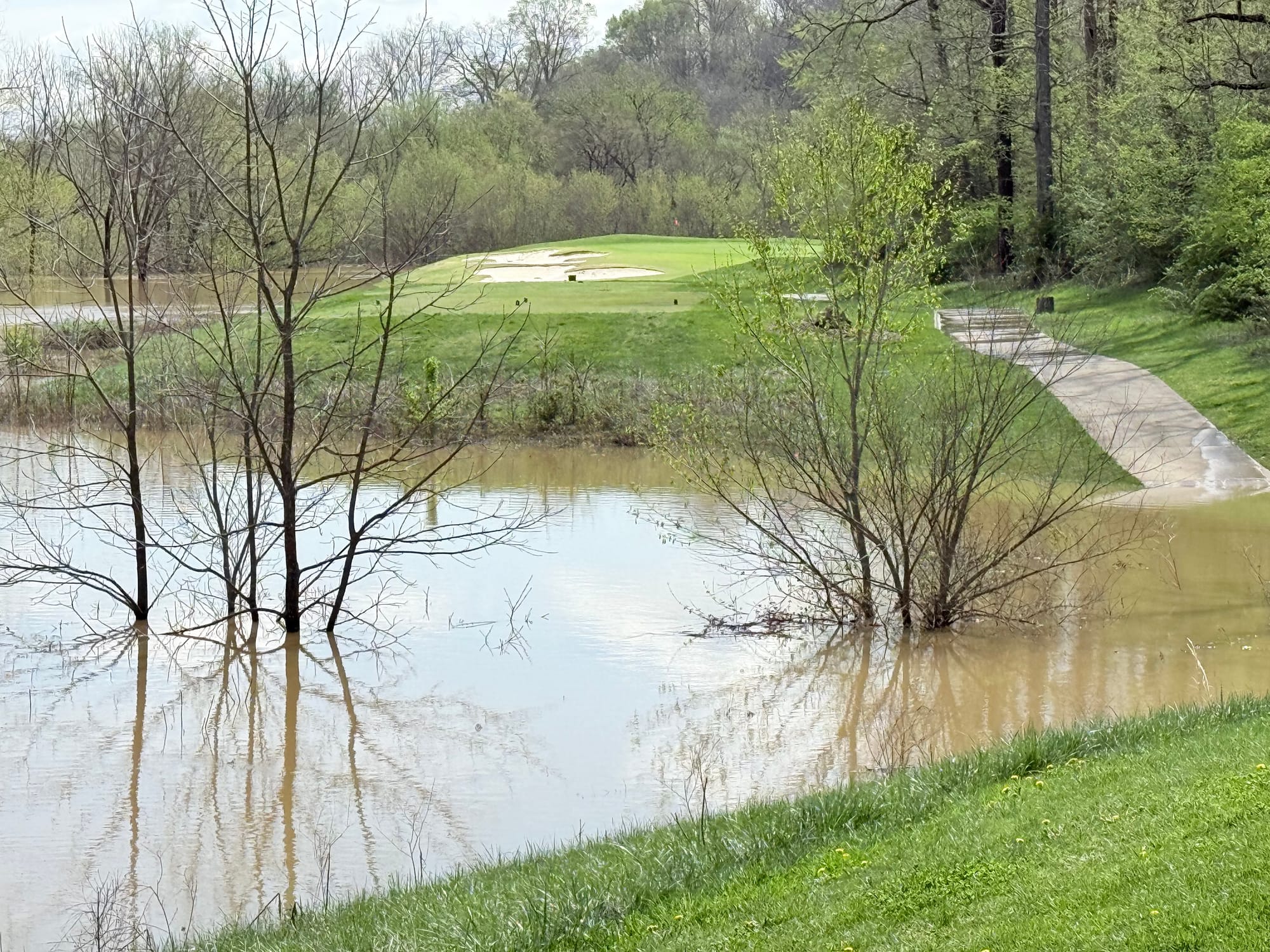 #5 from back of #4 green