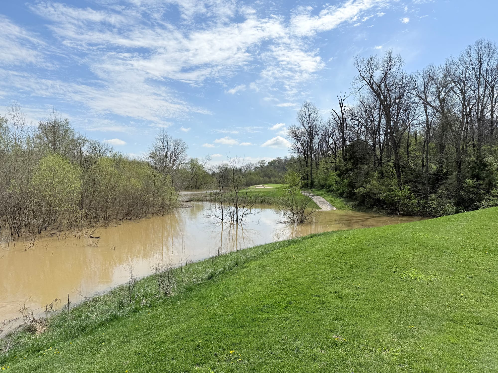 #5 from bak of #4 green