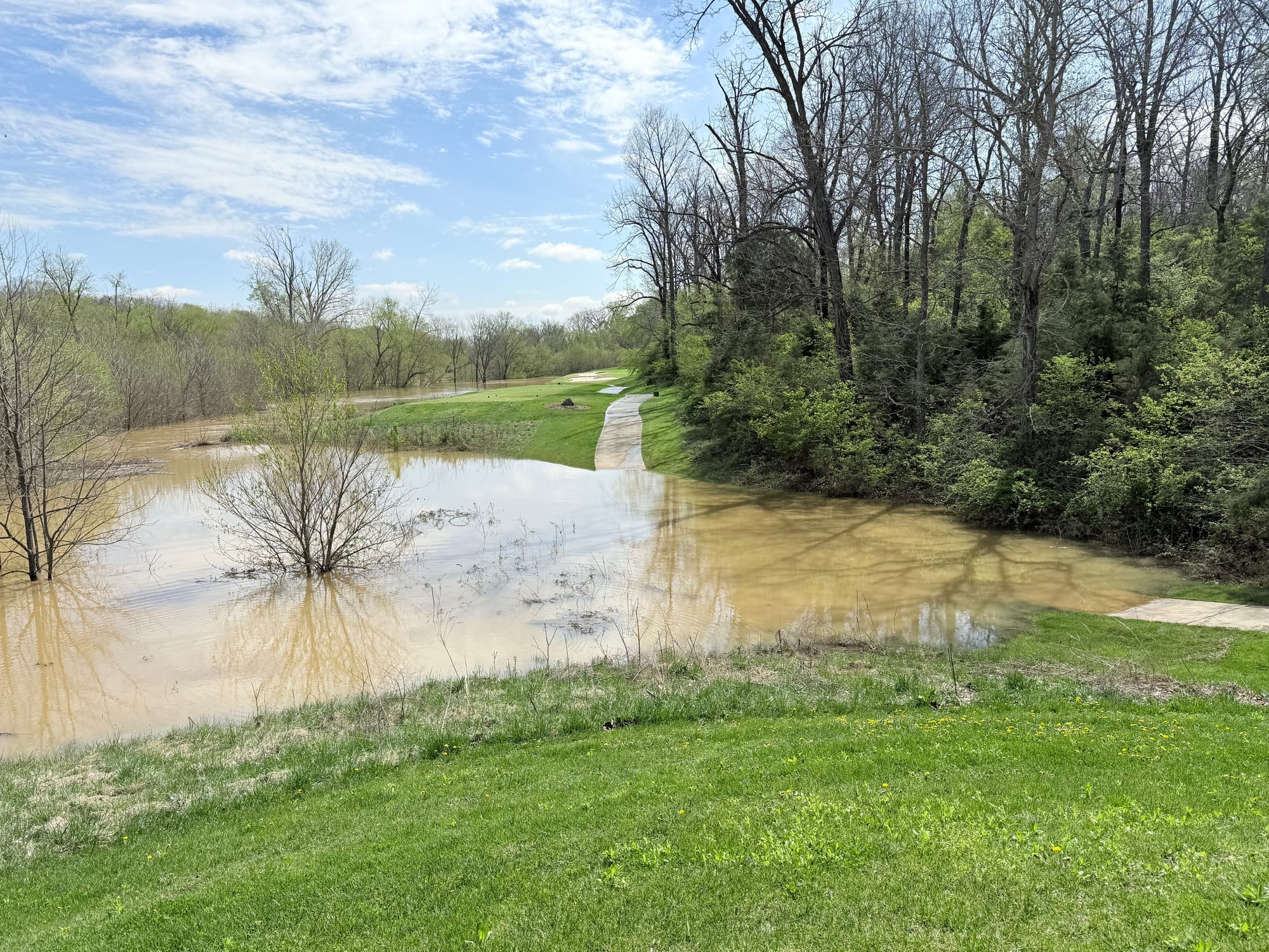 Cart path between #4 and #5
