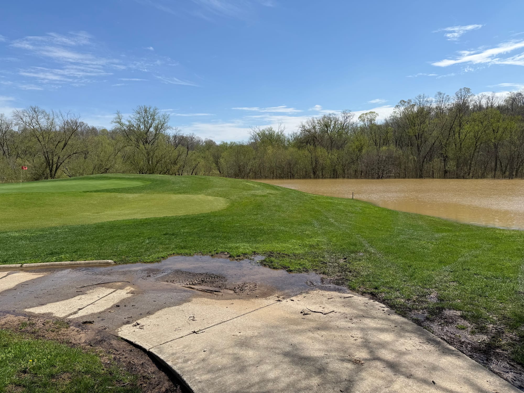 #5 behind green right side