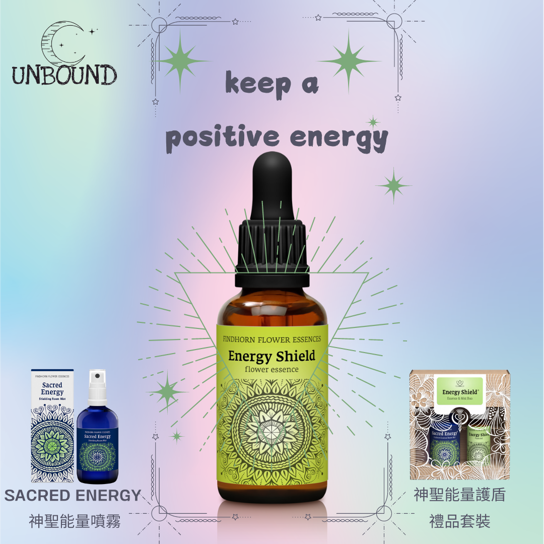 再定義Energy Shield 神聖護盾花精