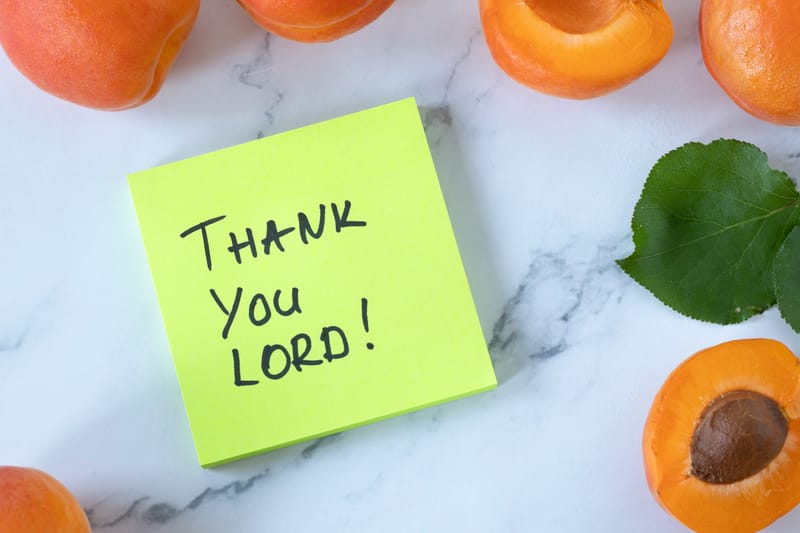 Sunday School @ 10am in the Activity building. Morning worship @ 11am in the Sanctuary.