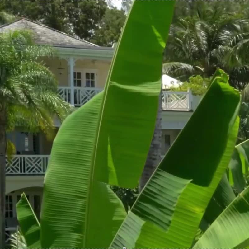 Coral Reef Club, Barbados