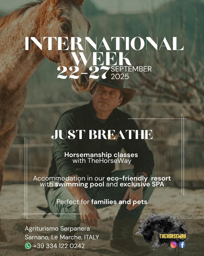 TheHorseWay INTERNATIONAL WEEK