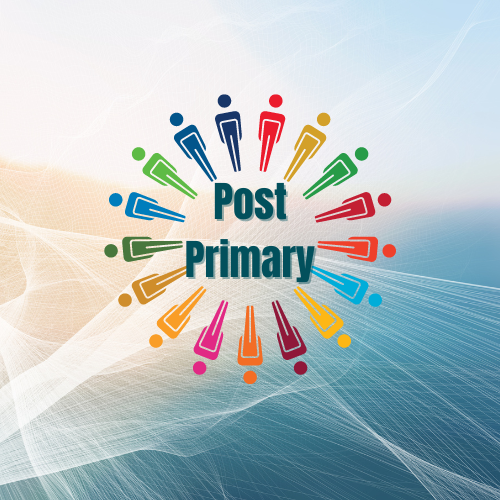 Post Primary Resources