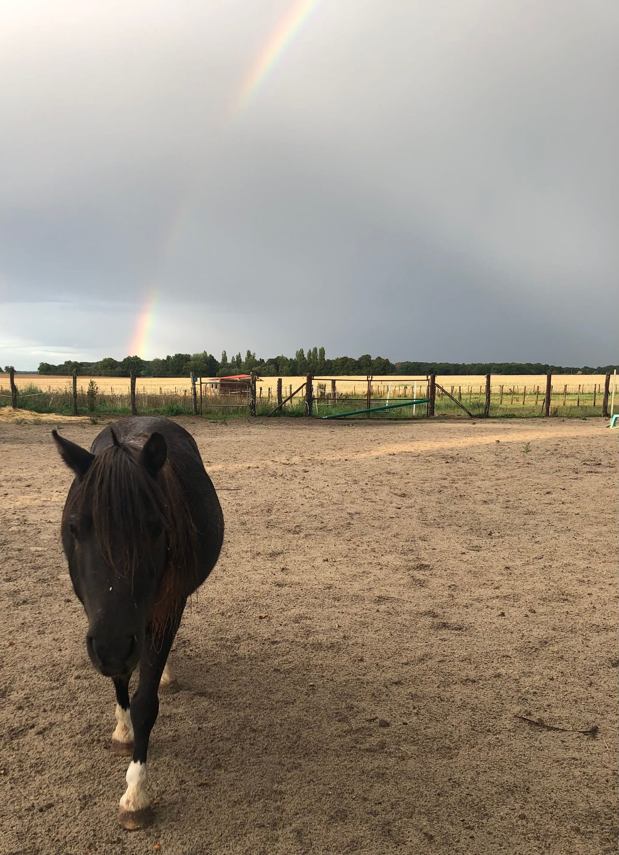 Notre jolie Imagination