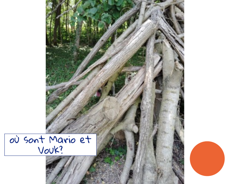 Cache-Cache avec Vouk et Mario en IME