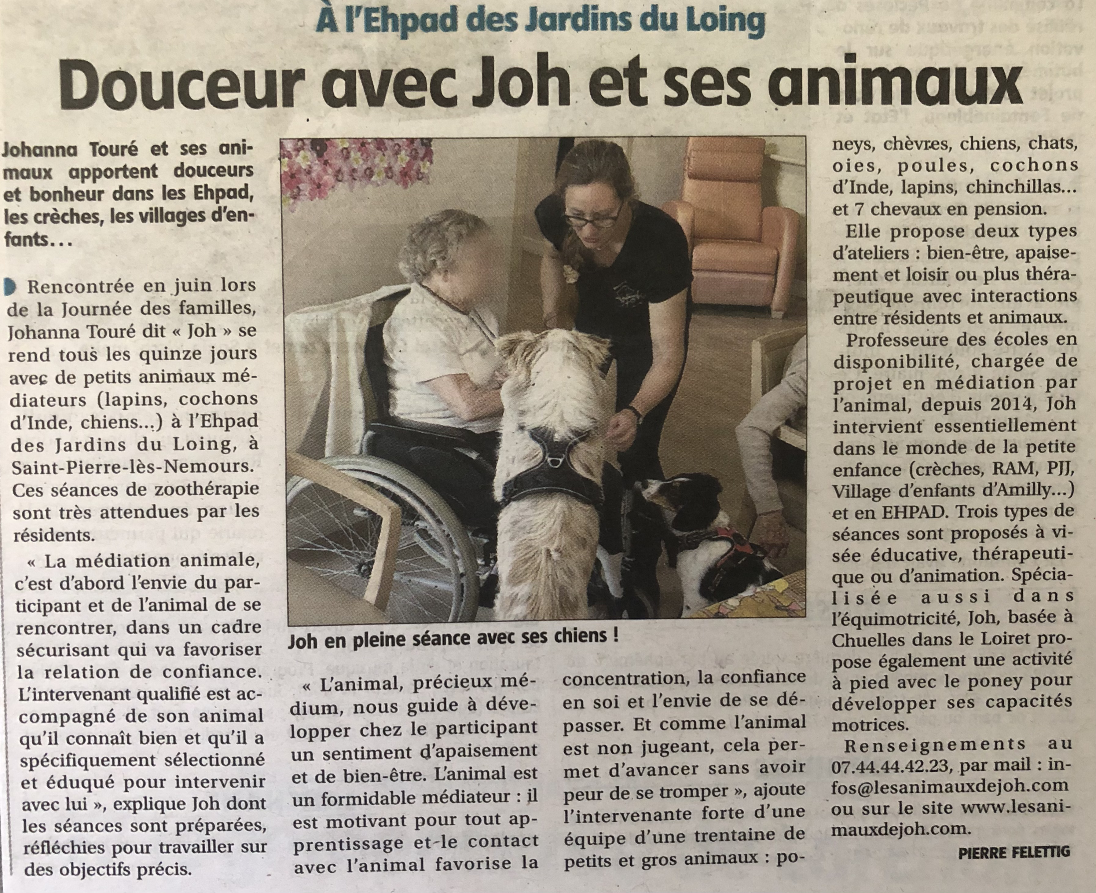 July 31, 2024 in the Gâtinais scout