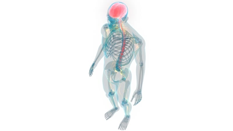 Trauma & Belastungsreaktionen