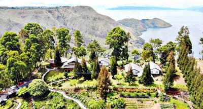 Sapo Juma | Menemukan Ketenangan di Tengah Hamparan Bunga dan Pesona Danau Toba