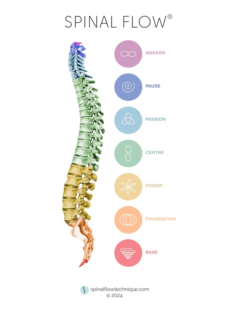 Spinal Flow Technique™