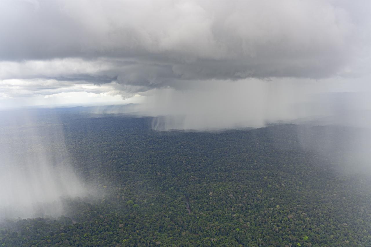 Terraforming the Earth: Bioclimatic Corridors, Flying Rivers and Vegetal Calderas of Paul Elvere DELSART