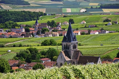 LE PAPILLON SOURCE et les Calderas Végétales, infrastructures de l’Empire Vert d’Orient et d’Occident