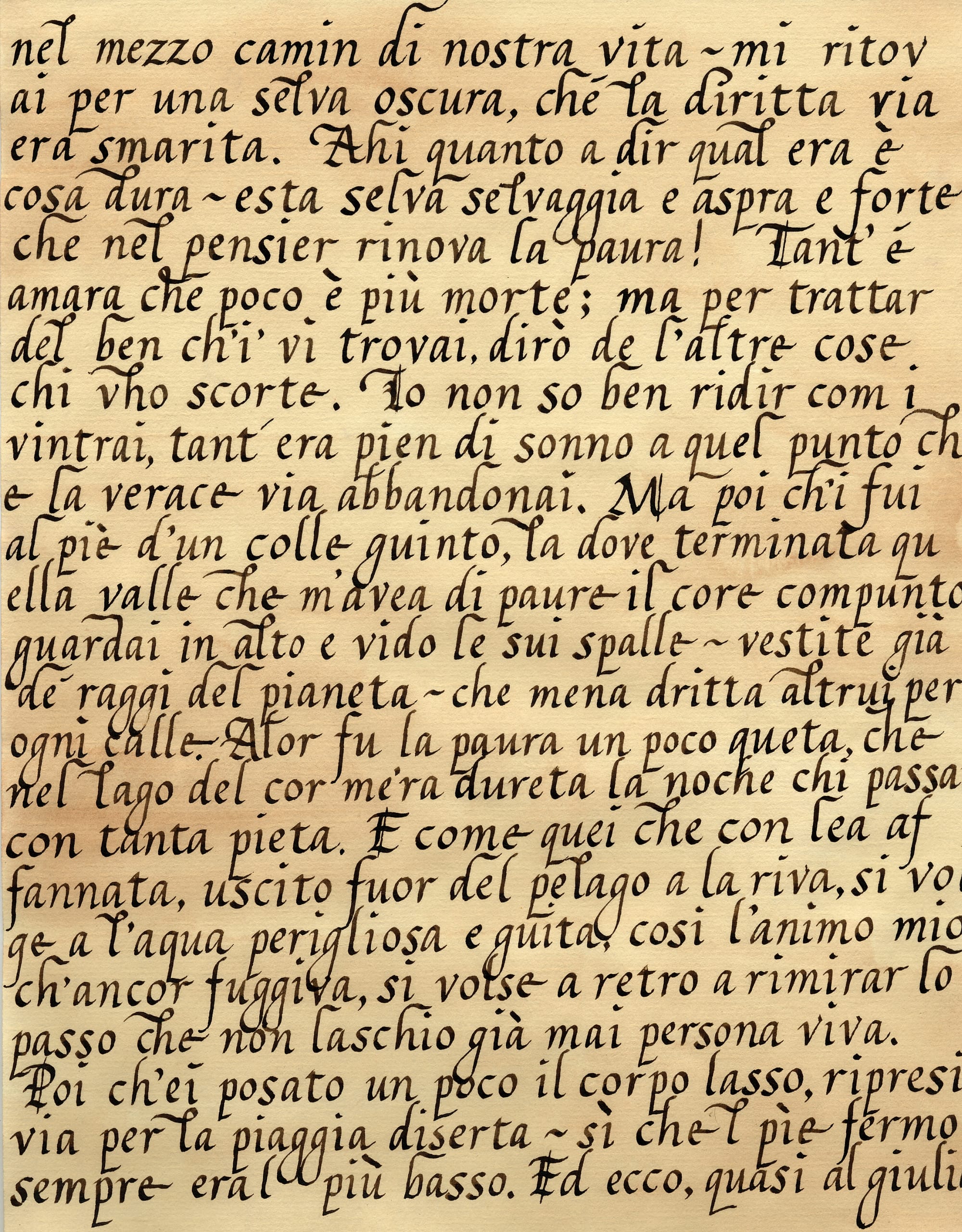 Ritratti. Trotula de’ Ruggiero