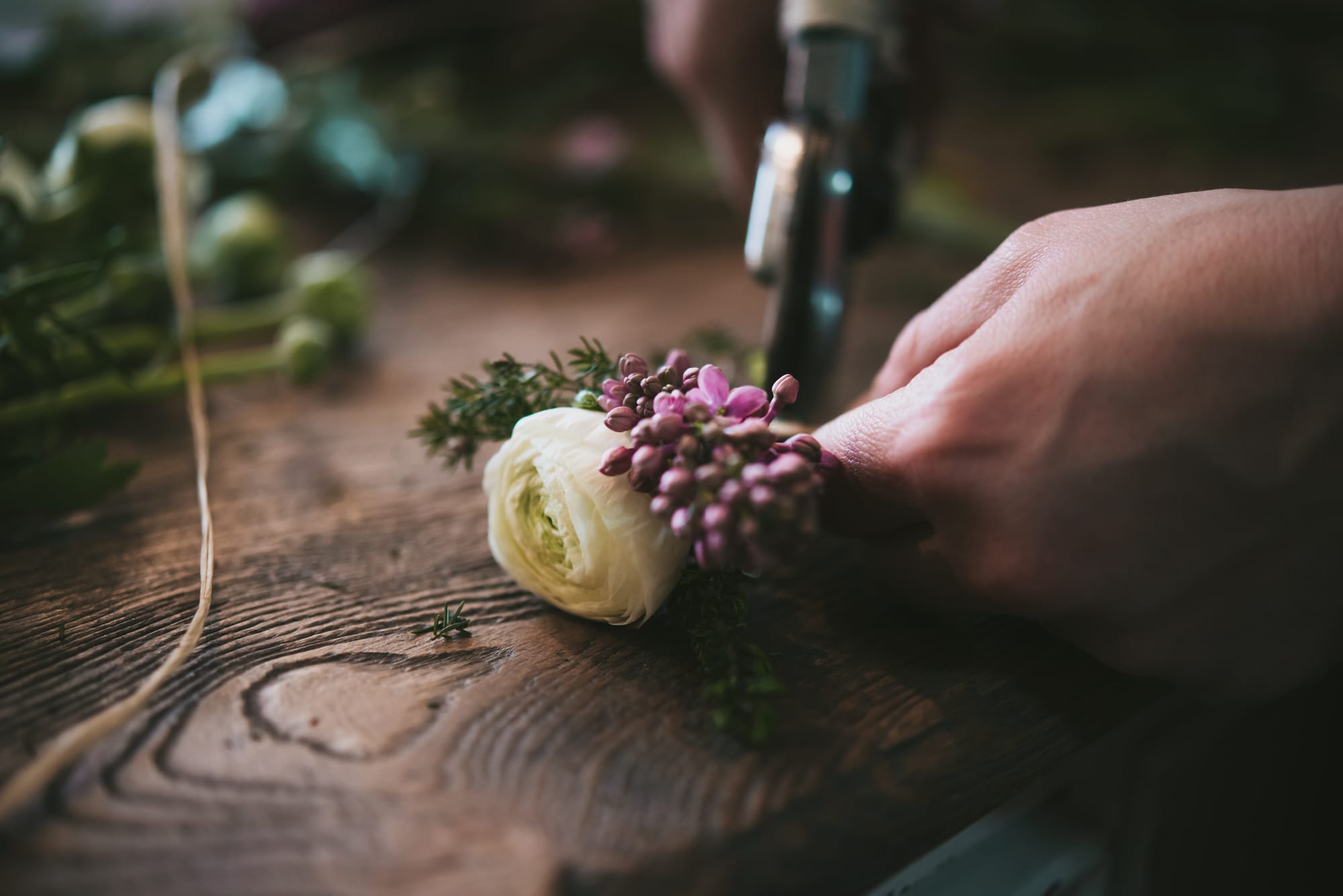 Ritratti. Lucrezia, la matrona che fondò la Repubblica